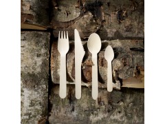 DISPOSABLE CUTLERY